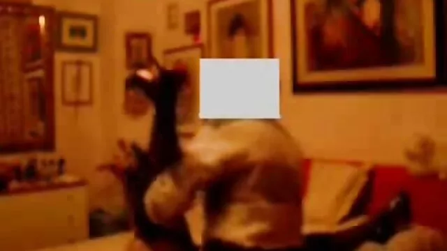 Casey Kamz si sporca al lavoro video porno gratis vecchie nonne e prende in giro il suo manager